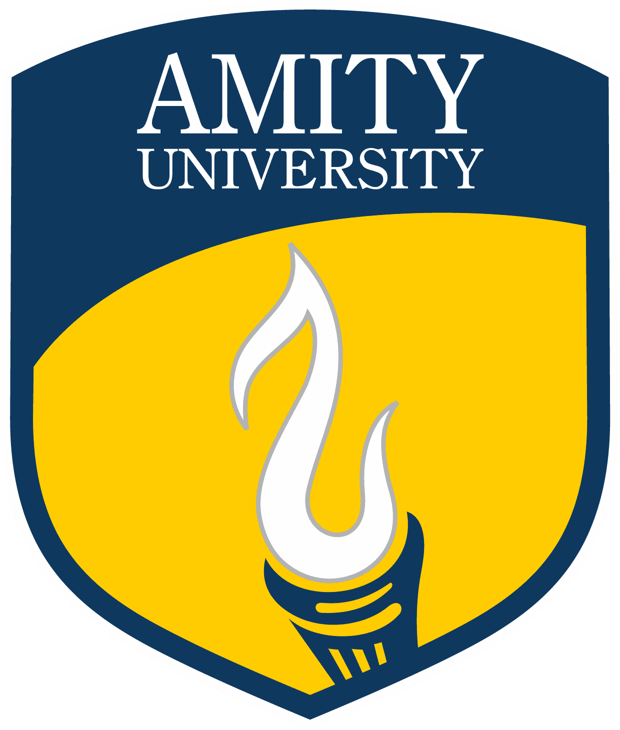 Amity University Patna
